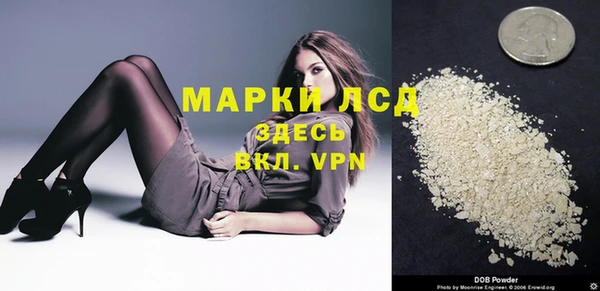 крисы Корсаков