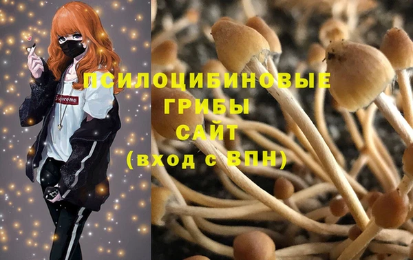 марки lsd Коряжма