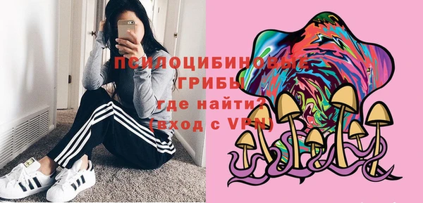крисы Корсаков