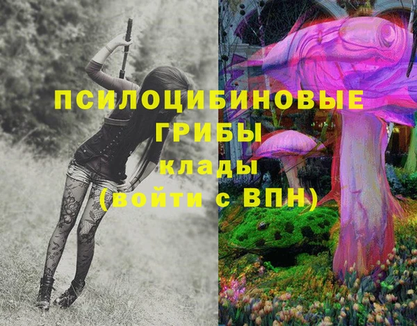 марки lsd Коряжма