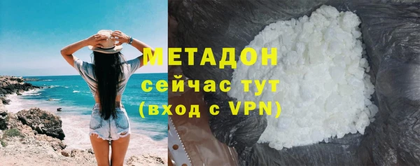 крисы Корсаков
