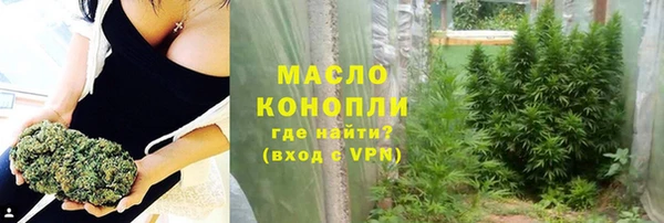 крисы Корсаков
