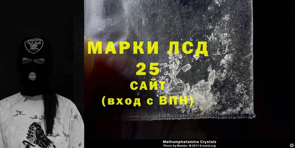 крисы Корсаков