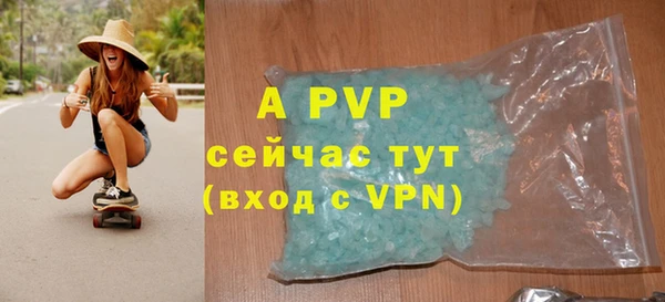 крисы Корсаков
