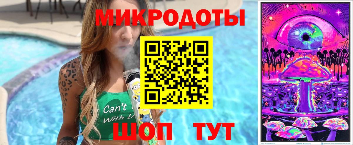 Галлюциногенные грибы Psilocybine cubensis Чебоксары