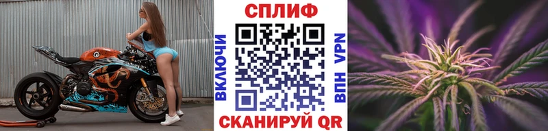 Бошки марихуана сатива  наркошоп  Чебоксары 